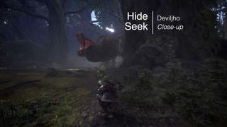 Hide and Seek with Deviljho