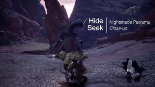 Hide and Seek with Nightshade Paolumu